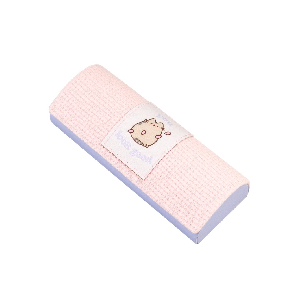 Grupo Erik Pusheen - Glasses Case Glasses case - Multicolours
